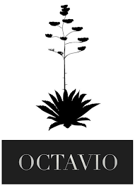 A plant with a plant silhouette Description automatically generated with medium confidence